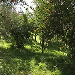 Casale Le Querce * Castelnuovo Berardenga