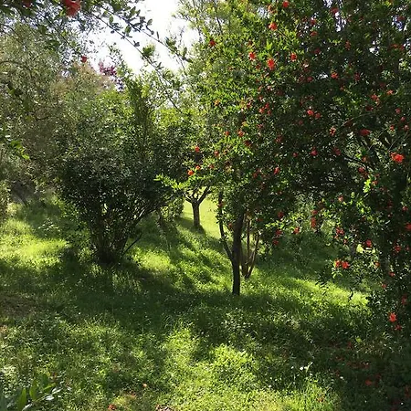 Casale Le Querce * Castelnuovo Berardenga