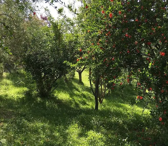 Casale Le Querce * Castelnuovo Berardenga